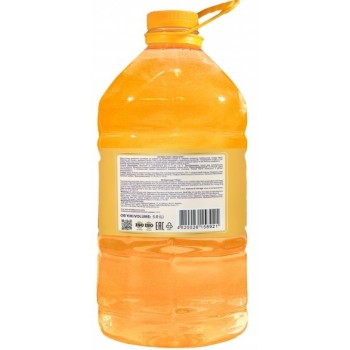 Жидкое мыло-пенка Bioton Цитрусовое 5000 мл (4820026158921)