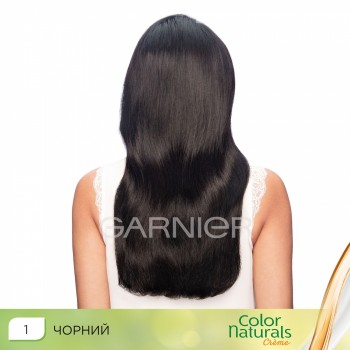 Фарба для волосся Garnier Color Naturals 1 Чорний 110 мл (3600540676719)