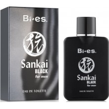 Туалетная вода мужская Bi-Es Sankai Black 100 ml (5906513003574)