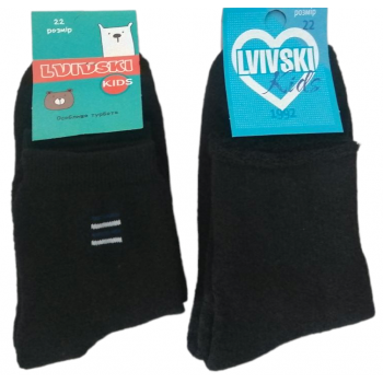 Детские махровые носки Lvivski Kids 22 размер (69334)