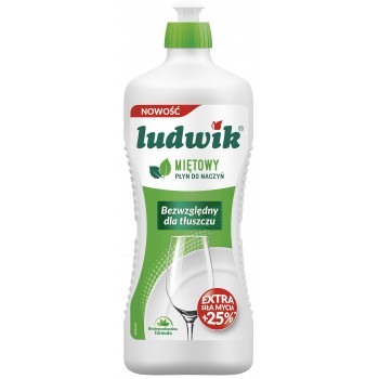 Средство для мытья посуды Ludwik Мята 900 мл (5900498028133)