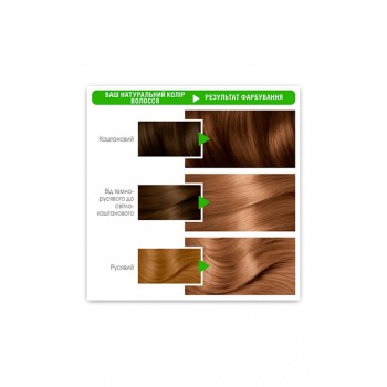Фарба для волосся Garnier Color Naturals 7.0 Капучіно (3600540676764)