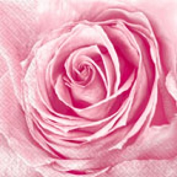 Серветка Марго Бутон троянди 20 листів 3-шари (33*33) (2000000002354)