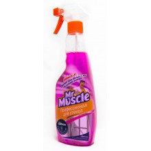 Засіб для миття скла Mr.Muscle розпилювач лісова ягода 500 мл  (4823002003994)